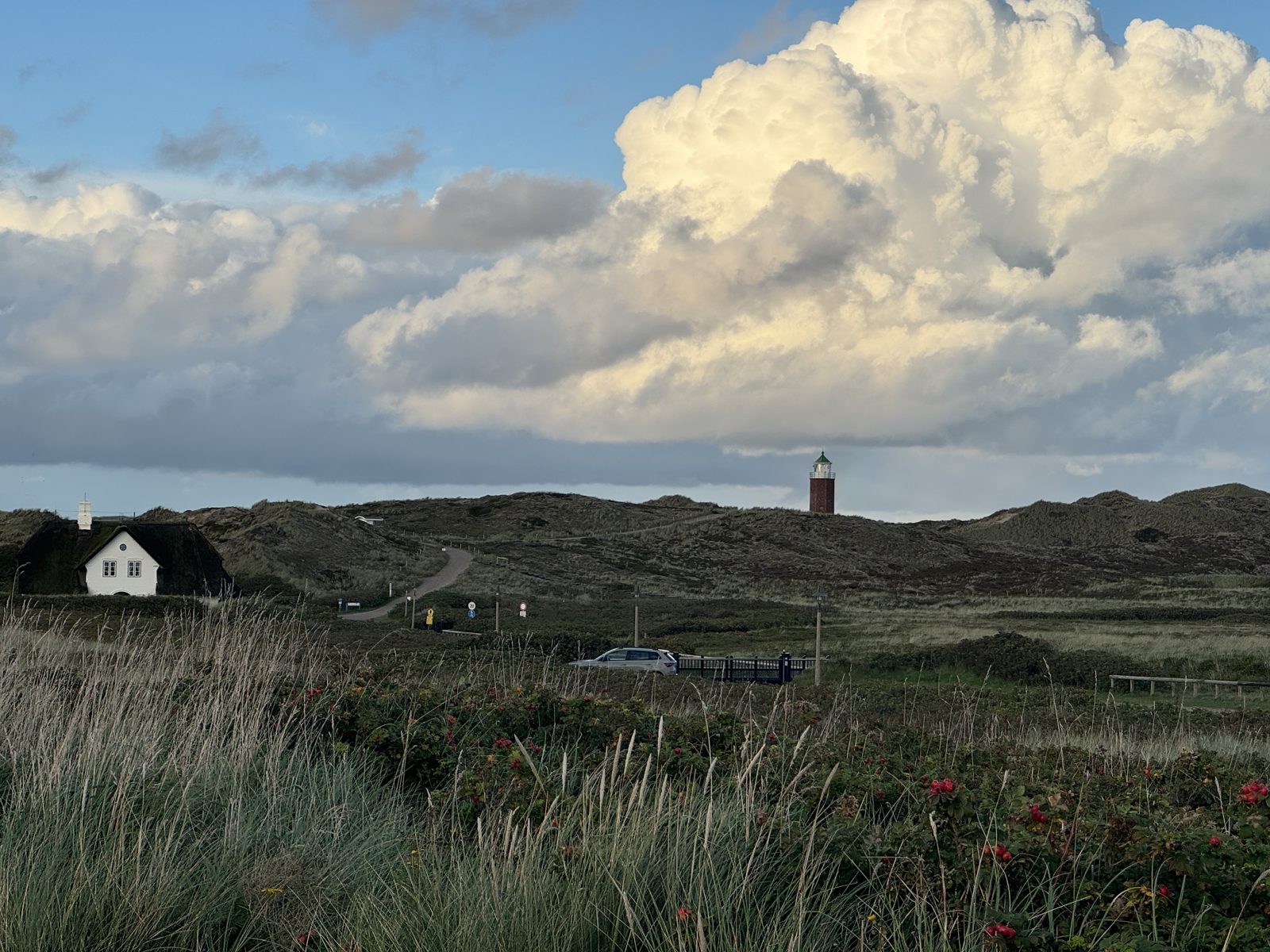 Großer Garten mit Blick auf den Leuchtturm